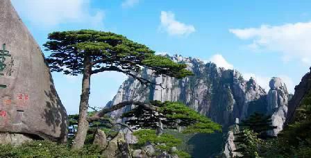 門(mén)票那么貴 沒(méi)法玩耍了！
