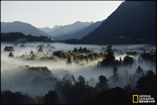 奧林匹克國家公園，華盛頓州攝影：Sam Abell，國家地理創(chuàng)意版