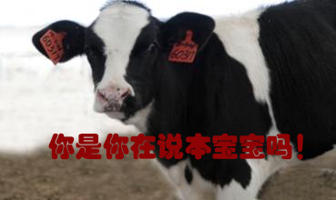 關(guān)我什么事！