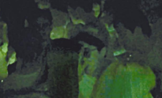 房祖名去年被港媒直擊在中環(huán)夜店與長發(fā)妞互動曖昧，女生正是Nana