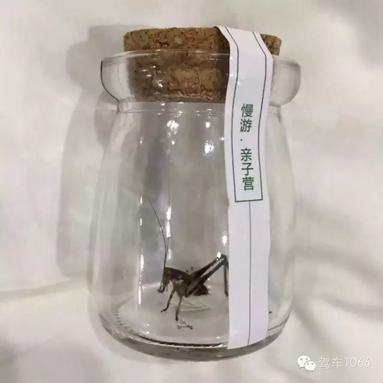 看看我的成果吧！