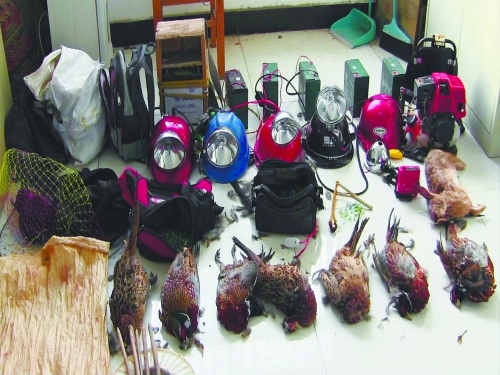 森林警方查獲的部分播放機(jī)、礦燈和獵殺的野生動(dòng)物等