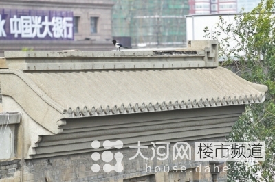 鄭州花園路“飛機樓”也要拆？去留引發(fā)關(guān)注