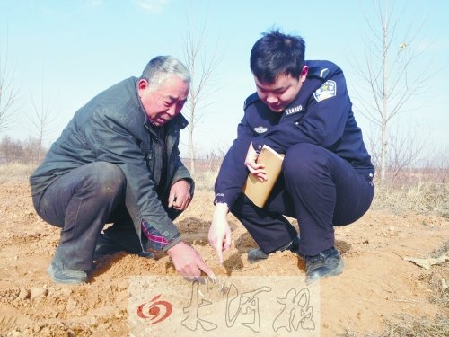 牡丹苗被盜之后，郭萬通又補(bǔ)種的牡丹苗已經(jīng)發(fā)芽