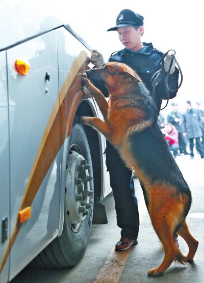 警犬巡查車(chē)上的可疑物品