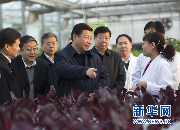  27日下午，習(xí)近平在山東省農(nóng)業(yè)科學(xué)院智能化溫室了解農(nóng)業(yè)科技創(chuàng)新情況。