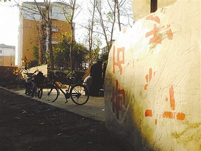 昨日，“上海奇石盆景博物館”原址上，已矗立起小區(qū)樓盤，而刻著博物館名的巨石，廢棄在一旁。本版圖片/新京報(bào)記者 張永生 攝