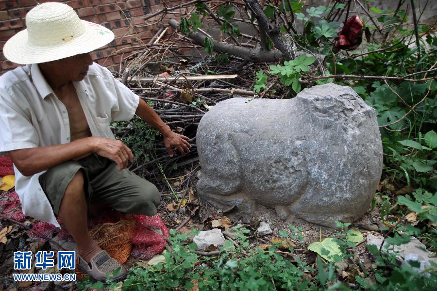朝陽鎮(zhèn)后李村業(yè)余文保隊員，今年65歲的李連堂在上世紀平整土地時候，從地里挖出一個石羊殘身，至今仍放在