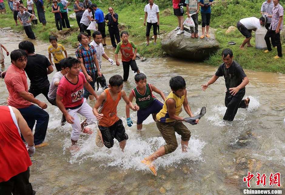 7月9日，村民在小河里摸魚(yú)搶魚(yú)。譚凱興 攝