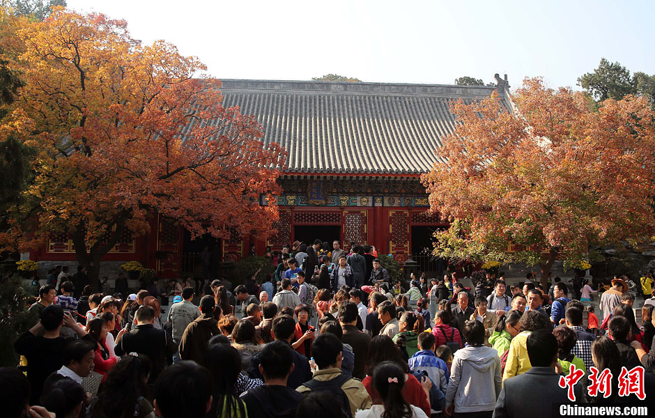 　10月26日，北京香山公園內(nèi)游客摩肩接踵。