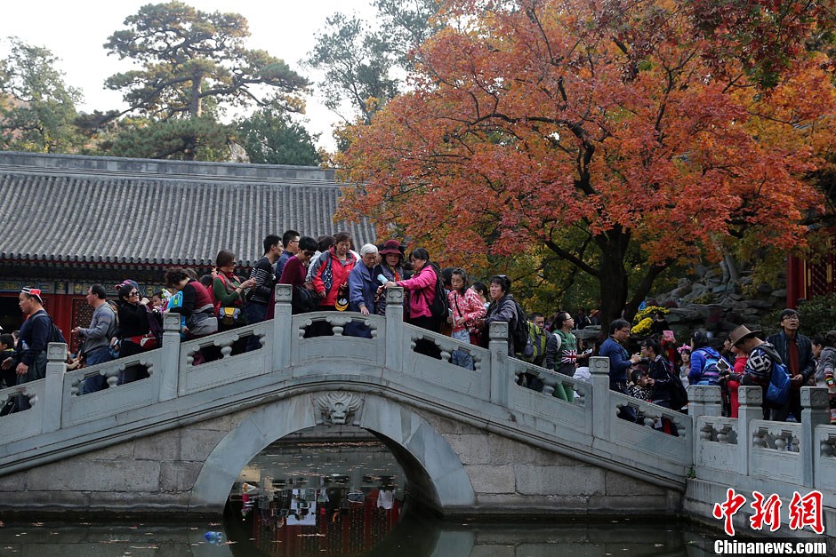 　10月26日，北京香山公園內(nèi)游客摩肩接踵。