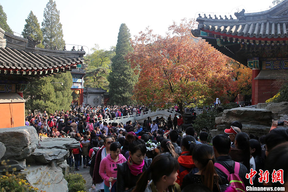 　10月26日，北京香山公園內(nèi)游客摩肩接踵。