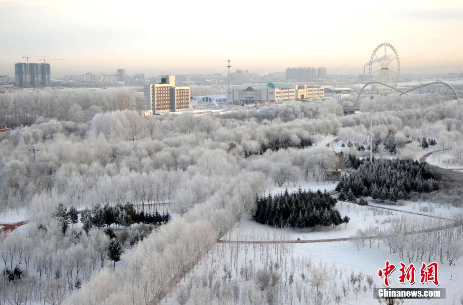 12月10日,受降溫天氣影響,黑河市黑龍江江畔出現(xiàn)綿延數(shù)公里的霧凇景觀。