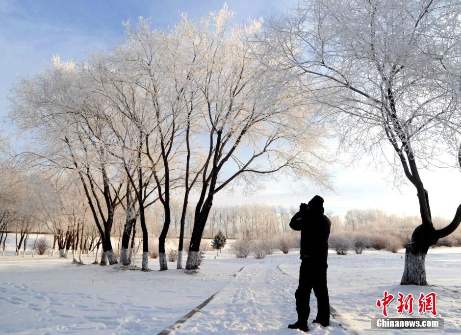 12月10日,受降溫天氣影響,黑河市黑龍江江畔出現(xiàn)綿延數(shù)公里的霧凇景觀。