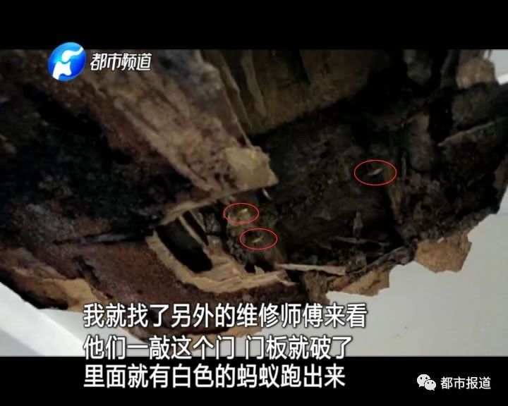 蟻?zhàn)宕筌娙肭?！十幾萬(wàn)裝修的新家被“吃掉”