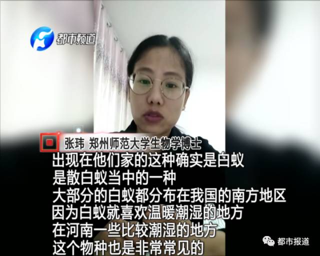 蟻?zhàn)宕筌娙肭?！十幾萬(wàn)裝修的新家被“吃掉”