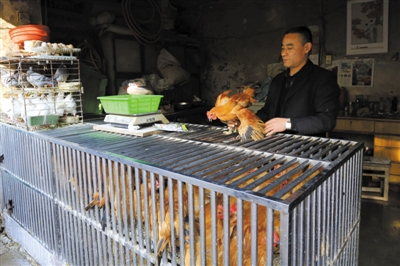 南京另一家農(nóng)貿(mào)市場內(nèi)待售的活雞。因南京出現(xiàn)H7N9禽流病例，買活雞的顧客減少。