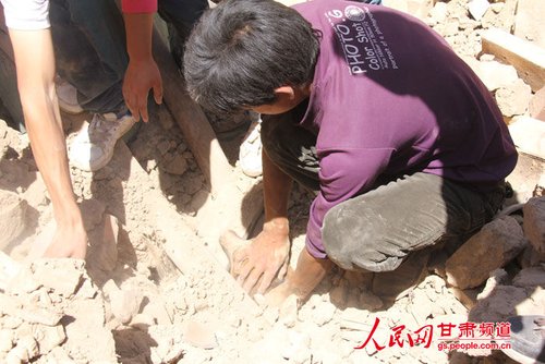 小黃狗露出了鼻子。王生元/攝