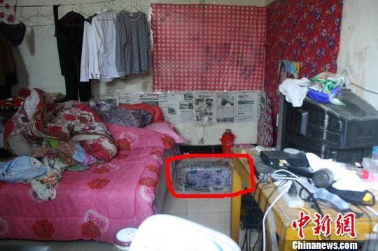 圖上紅圈內(nèi)為嫌犯所挖地窖入口。 吳佳蔚 攝