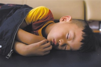 9月6日，等待錄制節(jié)目的多多躺在沙發(fā)上熟睡。新京報(bào)記者 侯少卿 攝