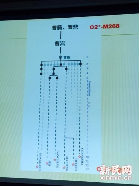 圖說(shuō)：復(fù)旦課題組發(fā)布曹操家族DNA研究結(jié)果。新民網(wǎng) 記者 李欣 攝