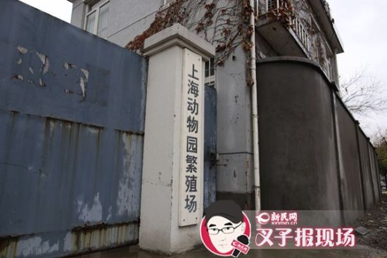 圖說：新民網(wǎng)記者趕到時，上海動物園繁殖場大門緊閉。新民網(wǎng) 記者 蕭君瑋 攝
