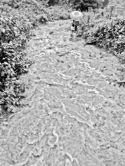 梅子回家的山道，晴天是路，雨天是河