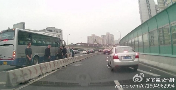 圖說:網(wǎng)友發(fā)布的老外在高架上行為不雅的照片。