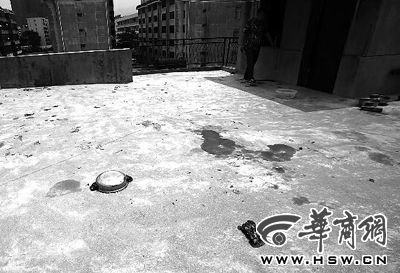 藏獒就養(yǎng)在這個樓頂，孩子從欄桿處墜落 本報記者 趙航 攝