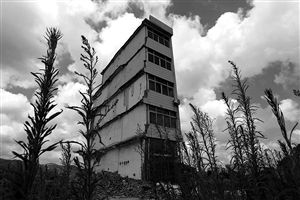 這幢5層的“片片樓”周圍已是一片拆遷后的廢墟，左邊的一堵墻上，不少鋼筋裸露在外面 圖片來源：新華網(wǎng)