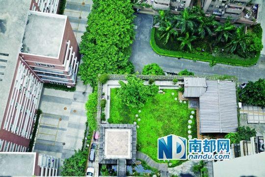 中旅商務大廈的“空中花園”。
