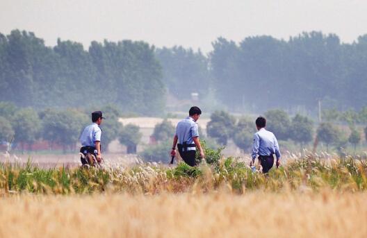 昨日上午，合肥長(zhǎng)豐縣雙墩鎮(zhèn)，民警分成小隊(duì)在案發(fā)村莊附近麥田搜捕嫌犯。記者劉玉才/攝