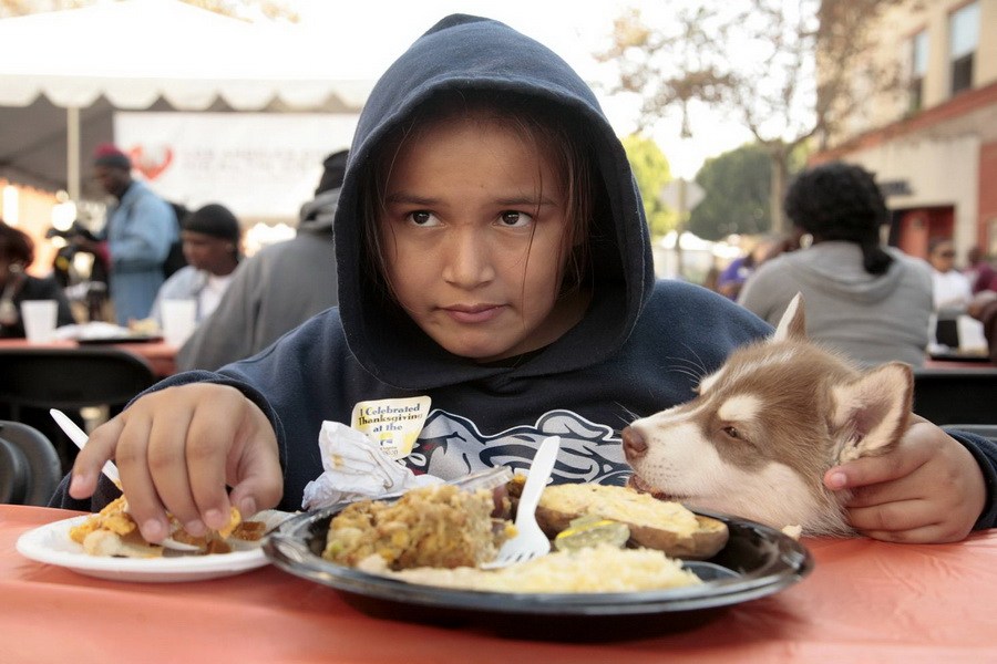 11月21日，加州洛杉磯的游民巷，12歲的堂娜·赫南德茲抱著愛犬“湯米”，安靜地吃著免費的感恩節(jié)飯菜
