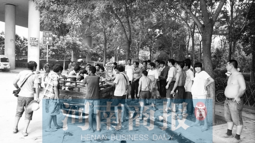 北環(huán)南陽路立交橋下，瓜農(nóng)小秦被打后，附近瓜農(nóng)紛紛圍了上來