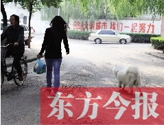 啟明一巷內(nèi)，一名女子帶著狗狗去買菜。狗隨地大小便，狗的主人未制止