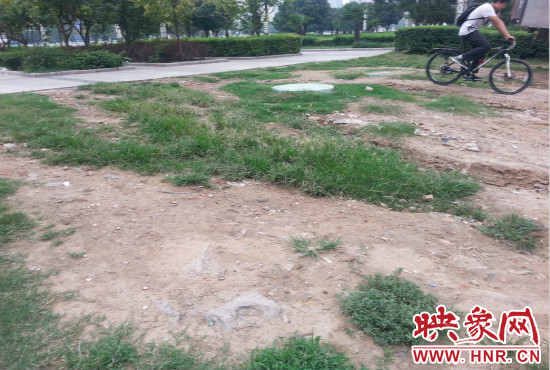 公園內(nèi)大片草坪遭到破壞。