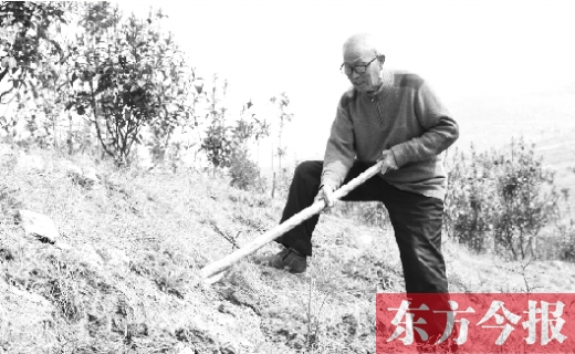 南陽(yáng)七旬老翁不愛(ài)遛鳥(niǎo)愛(ài)種樹(shù) 拿百萬(wàn)積蓄綠化千畝荒山