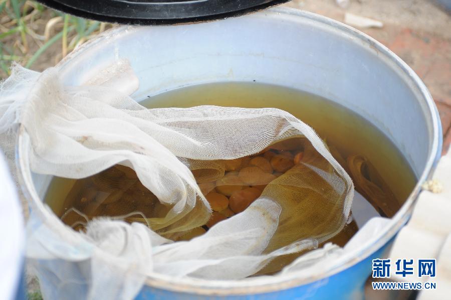 地下水成“綠茶”　污染二十多年該誰治？
