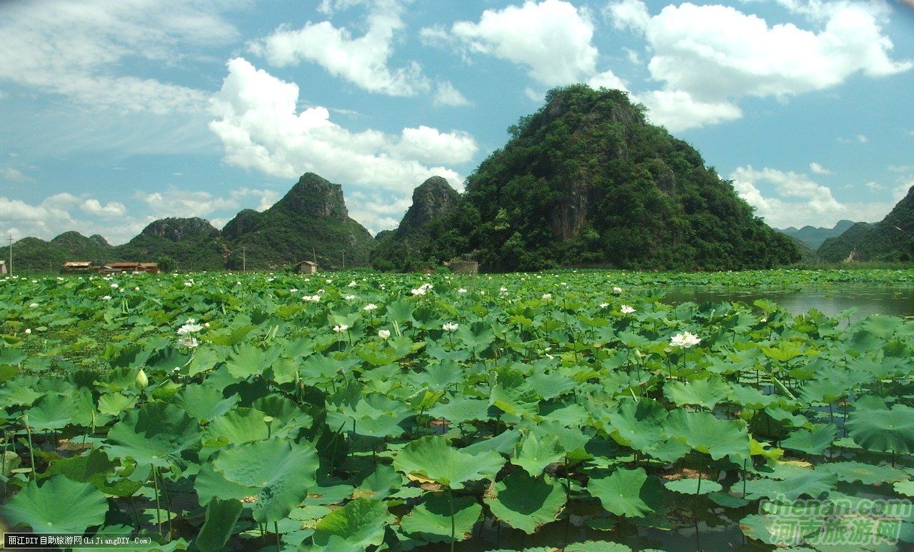 爸爸去哪兒？親密接觸荷花仙子