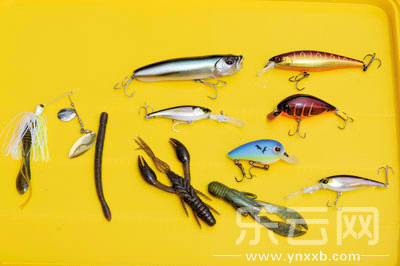 　　又稱擬餌釣魚,起源于歐洲,國內(nèi)翻譯為“路亞”。