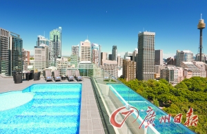 酒店屋頂游泳池俯瞰公園美景。