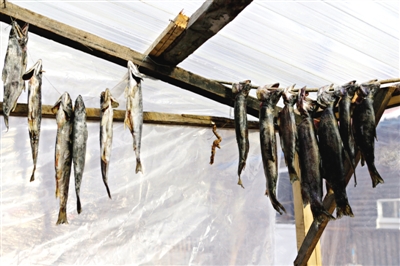 長(zhǎng)白山腳下一家小餐館內(nèi)晾曬的冷水魚。