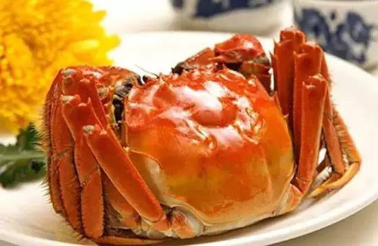 秋季最適合吃的海鮮是這10種 你吃對了嗎？
