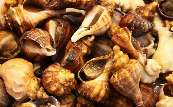 秋季最適合吃的海鮮是這10種 你吃對了嗎？