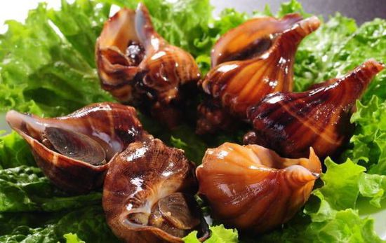 秋季最適合吃的海鮮是這10種 你吃對了嗎？