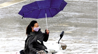昨日下午，隴海路上，雨中風(fēng)大，一位女士的傘被吹翻了。