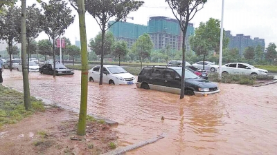 昨日，信陽突降暴雨，路面積水已淹沒輪胎。首席記者 何正權(quán) 通訊員 楊小燕 攝影
