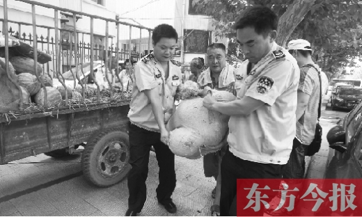 昨日，鄭州金水區(qū)執(zhí)法局的執(zhí)法隊(duì)員捐錢買瓜，替瓜農(nóng)解憂