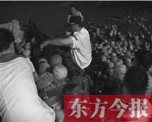 昨日凌晨，鄭州街頭，眾多愛心市民幫瓜農(nóng)撿拾西瓜