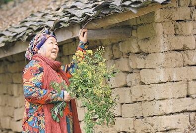 公式“時(shí)尚奶奶”的賞花照，收獲了好多人的點(diǎn)贊。 受訪者供圖